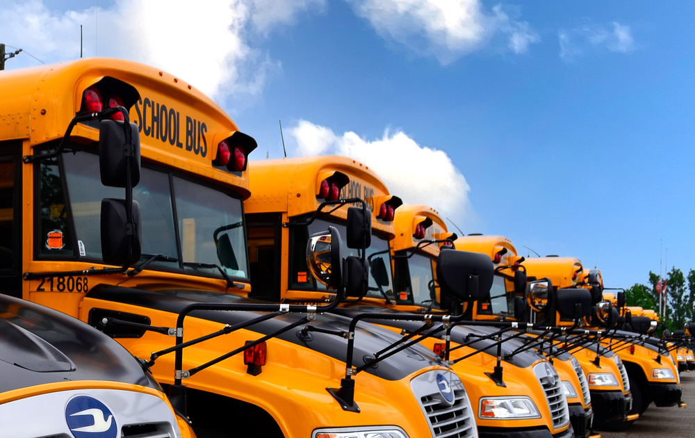 yellow school busses parked in a row