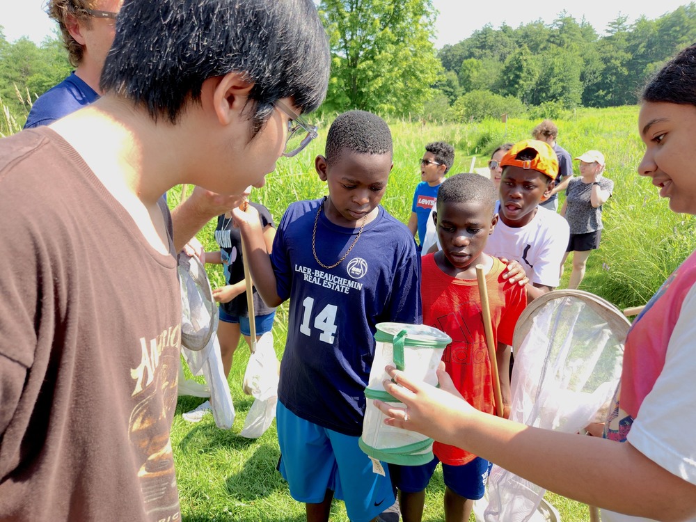 middle school english language learner students in the the Newcomer Academy program look at an insect net during a visit to the Audubon Society's Pollinator Party