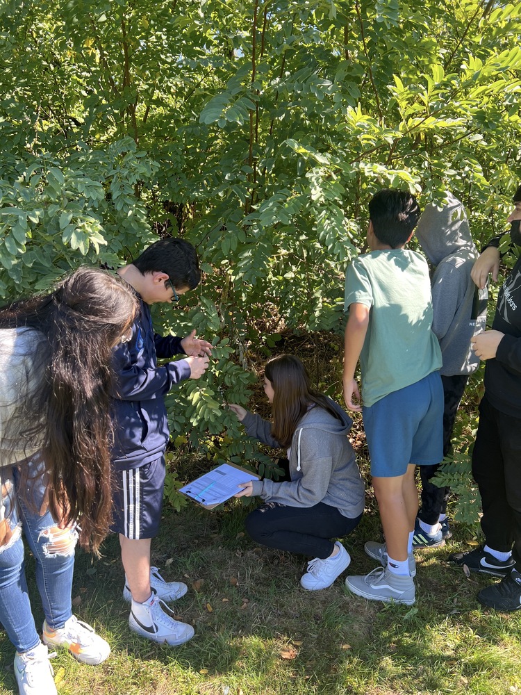 Memorial students participate in Harvard Forest tree study