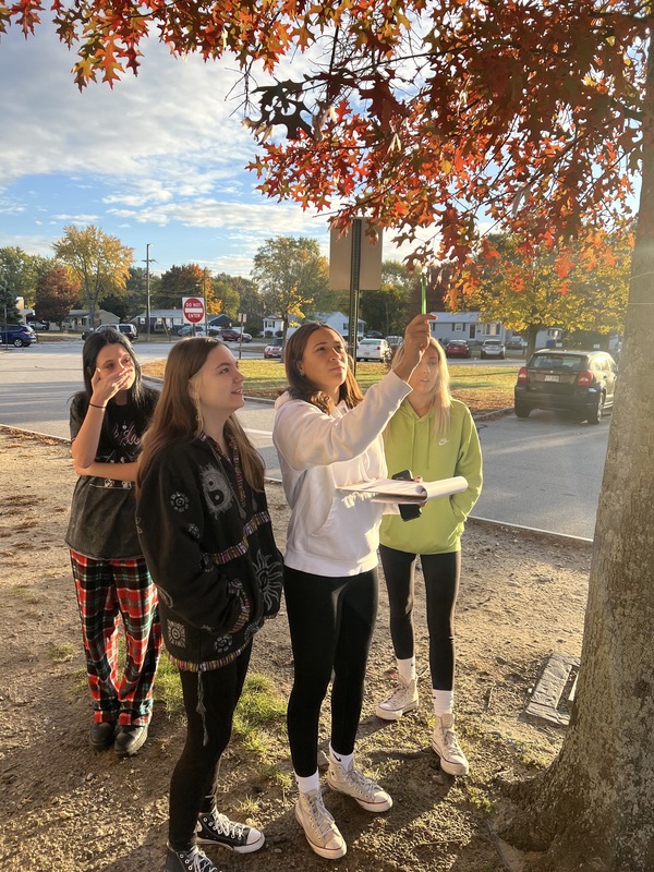 memorial students participate in tree study